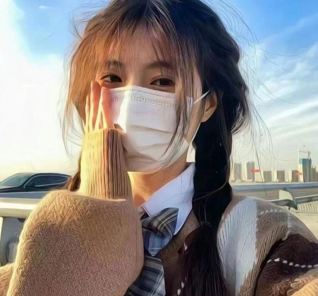 姐妹双行之巴黎护照封面
