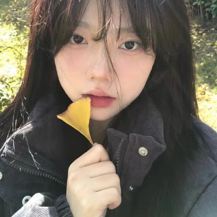 蜜月杀手封面
