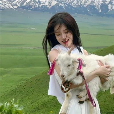 汤姆猫与杰利鼠封面